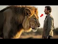 Lagu THIS LION RECOGNIZED A MAN AFTER YEARS APART