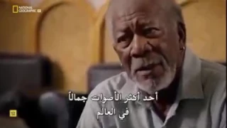  النجم الأمريكي مورجان فريمان يجر ب صوته في الأذان  دندنها