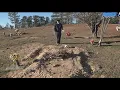 A Macon family bought graves beside loved one but say two strangers were buried there instead