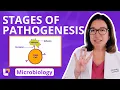 Stages of Pathogenesis Microbiology for Pre Nursing Pre Med STEM LevelUpRN