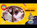 BOBO SIANG AJENG DINANTI BERSAMA AMANDA CAESSA | BERAWAL DARI ISENG LALU JADI KARYA