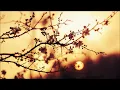 Koresma - Far Away Coast