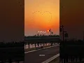 https://l.likee.video/v/mp7mvp 😭