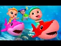Download Lagu Baby Shark | Baby Shark Doo Doo Doo Dance + More | Super Sumo Nursery Rhymes \u0026 Kids Songs