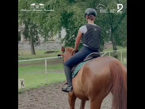 Okładka filmu Pałac pod Bocianim Gniazdem w Runowie