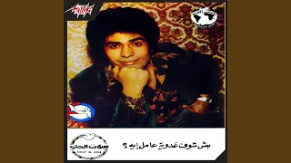                    دندنها