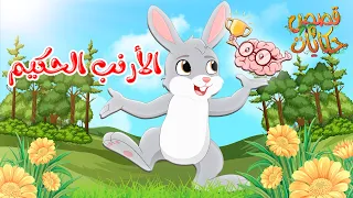 قصص وحكايات قصص للأطفال رسوم متحركة قصص قبل النوم قصة الأرنب الحكيم 