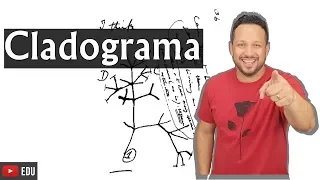 Cladograma ou Árvore Filogenética - Biologia com o Tubarão