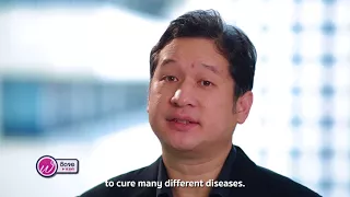 สเต็มเซลล์คืออะไร และมีความสามารถพิเศษอย่างไร