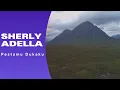 Download Lagu Dangdut terbaru|Pestamu Dukaku Sherly Adella #lirikmusik28 #dangdutkoplo #dangdut #musik #terjemahan