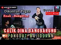 Download Lagu CALIK DINA BANGBARUNG DIKANTUN TUGAS PONGDUT BAJIDORA @niccoentertainment