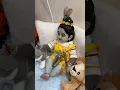Download Lagu Mera Pyaara Kanua 😍🥰🧿 #laddugopal #silicone