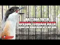 Download Lagu MASTERAN TROTOL EDISI TENGKEK BUTO DENGAN JEDA COCOK UNTUK CENDET CALON JUARAAA