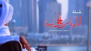 شيلة الديار الجنوبيه   كلمات شجاع السنحاني   أداء حاجب السنحاني دندنها