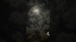 نور القمر خضني في حضنك 