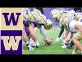 Team Purple vs Team Gold Washington Football Spring Game 2026