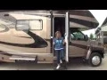 LIFE ESSENTIALS RV STEP ASSIST