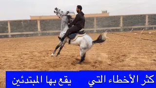  اسس تعلم فن ركوب الخيل   كيف ترفع مستواك من راكب الى فارس الجزء الأول دندنها