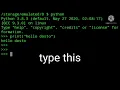 how to exit terminal in python