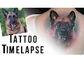 Lagu Tattoo Time-lapse - Dog Portrait