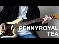 Download Lagu Nirvana - Pennyroyal Tea (Guitar cover)