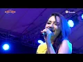 Download Lagu Tirai Cinta - Lala Widi NEW PALLAPA  Live Muarareja Tegal