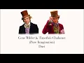Pure Imagination (By Gene Wilder & Timothée Chalamet)