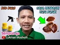 CARA MEMBASMI KUTU KASUR dan TELURNYA 🐞 Cara membasmi KUTU BUSUK 🐞 Cara Menghilangkan Kutu Kasur