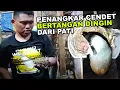 Download Lagu Burung Cendet Predator pun dengan mudah di ternak si Om Penangkar bertangan dingin dari Pati ini MP3