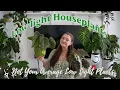 Download Lagu 🌿✨ 10 Unusual Low Light Houseplants ✨🌿
