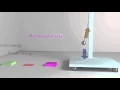 The Damped Pendulum physics animation