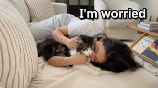 Our Cat Suddenly Couldn't Walk... Here's What Happened