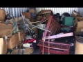 Online Storage Auction with Hurley Auctions