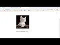 Capstone Project CNN Multiclass Image Classification