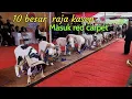 Download Lagu 10 besar Raja kasep masuk red carpet || silatnas 9 piala presiden || Kontes ternak Raja kasep