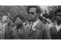 Who Were The Black Panthers It s Complicated - Newsy