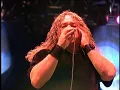 Los Acosta - Deja Una Rosa En Tu Balcón (En Vivo 2005)