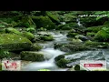 Download Lagu KECAPI SULING SUNDA DENGAN SUARA AIR MENGALIR UNTUK RELAX DAN TERAPI TIDUR