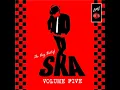 We're Gonna Love - The Ska Sonics