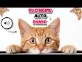 Lagu TOoOT...Kucingmu Bisa Lari Mendengar SUARA PENGUSIR KUCING Ini,Suara Terompet Ajaib