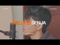 Lagu Melukis Senja - Budi doremi (Cover by Ray Surajaya) #repost