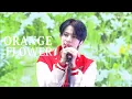 Download Lagu 【ENHYPEN / 日本語字幕】orange flower エナイプン 曲
