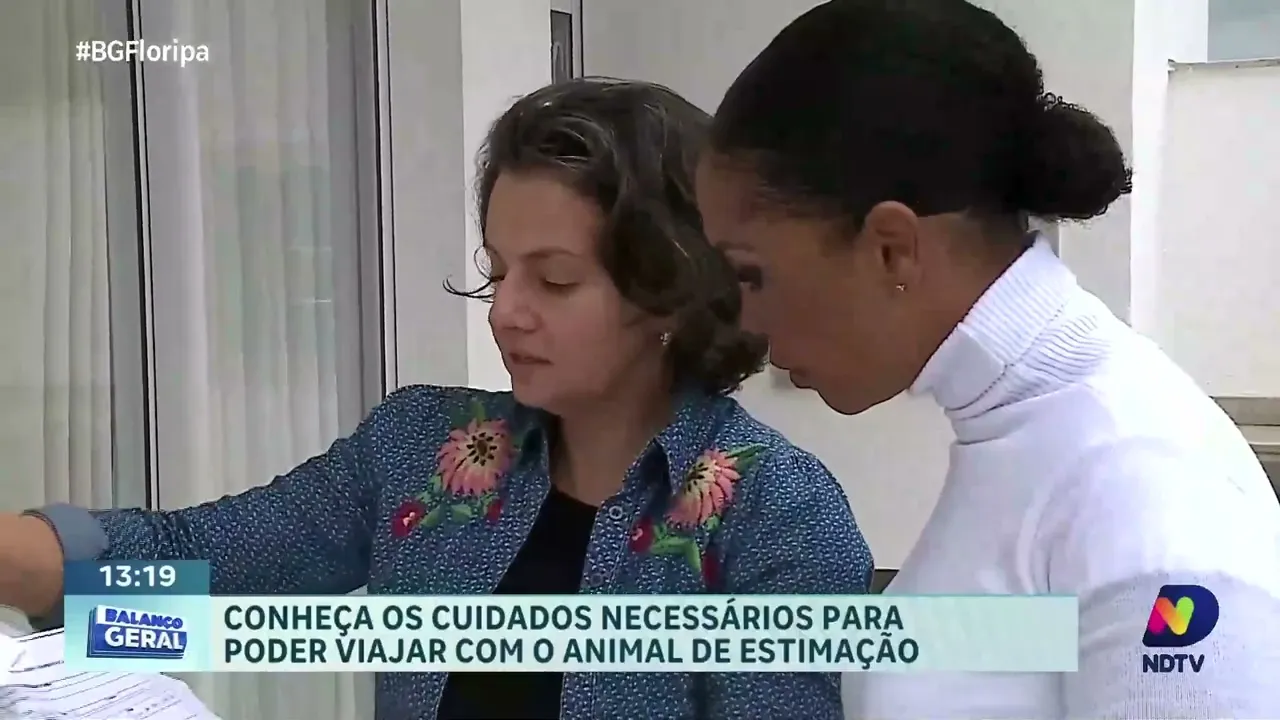 Confira os cuidados necessários para o transporte dos animais de estimação em viagens aéreas
