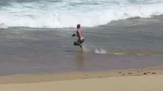 Beach Salmon Dive by Poene