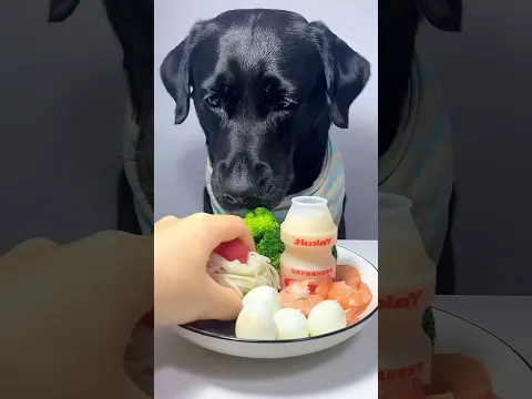 O Prato do negão! 🥦🥚🍤
