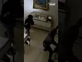 Over 500K Worth Of Jewelry Stolen In Smash-And-Grab