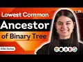 Lowest Common Ancestor in Binary Tree DSA Series L 89