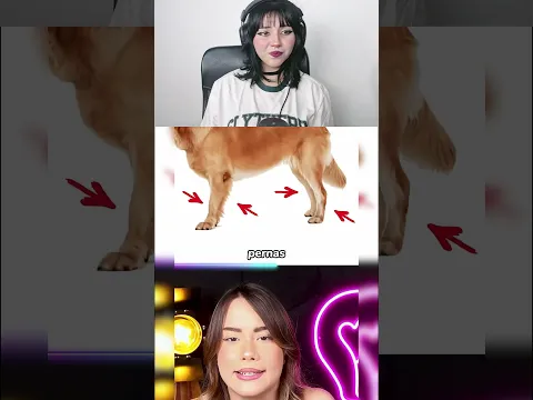 COMO UM CACHORRO USARIA CALÇA??? 😜#humor #shorts IB:@GiulianaMafra