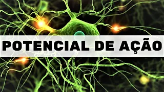Potencial de ação - Fisiologia Humana