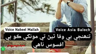 تنھنجي بي وفا ٿيڻ تي ڪوبه افسوس ناھي 
